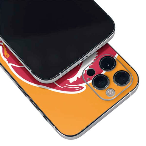 NFL Tampa Bay Buccaneers Retro Logo iPhone 12 Pro Max Skin